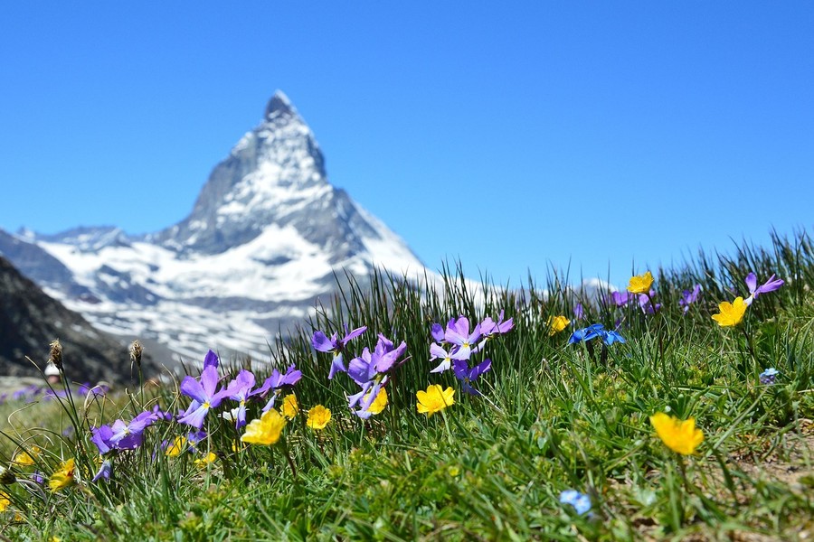 JA zur Klimafonds-Initiative