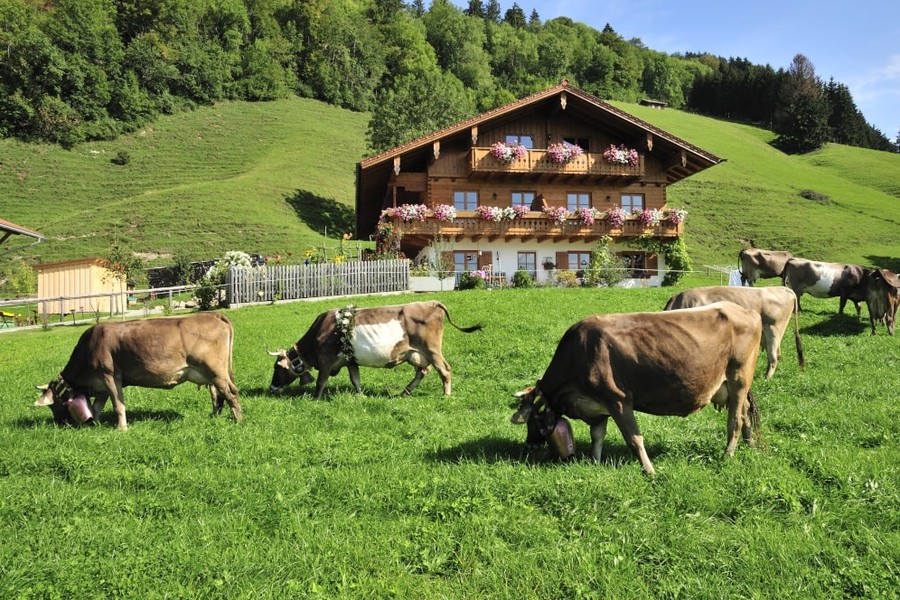 Bür*innezmorge